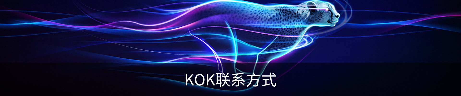 KOK联系方式